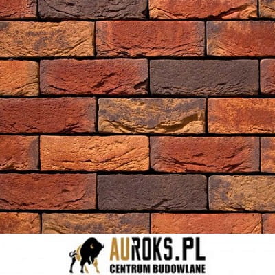 61262998107ef8542f1a88fdcdee3bb3 VANDERSANDEN CEGŁA VICTORIA 594 DF 210x100x65 MM